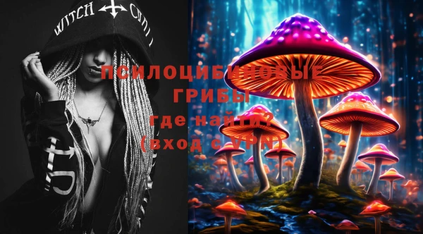 бошки Абинск
