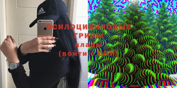не бодяженный Алзамай
