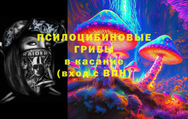 эйфоретик Алексин