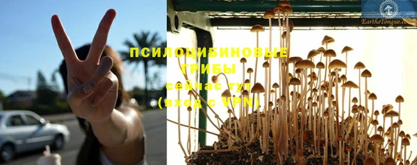 эйфоретик Алексин