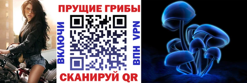 Псилоцибиновые грибы Cubensis  Вологда 