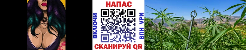 Бошки марихуана LSD WEED блэк спрут ссылки Вологда